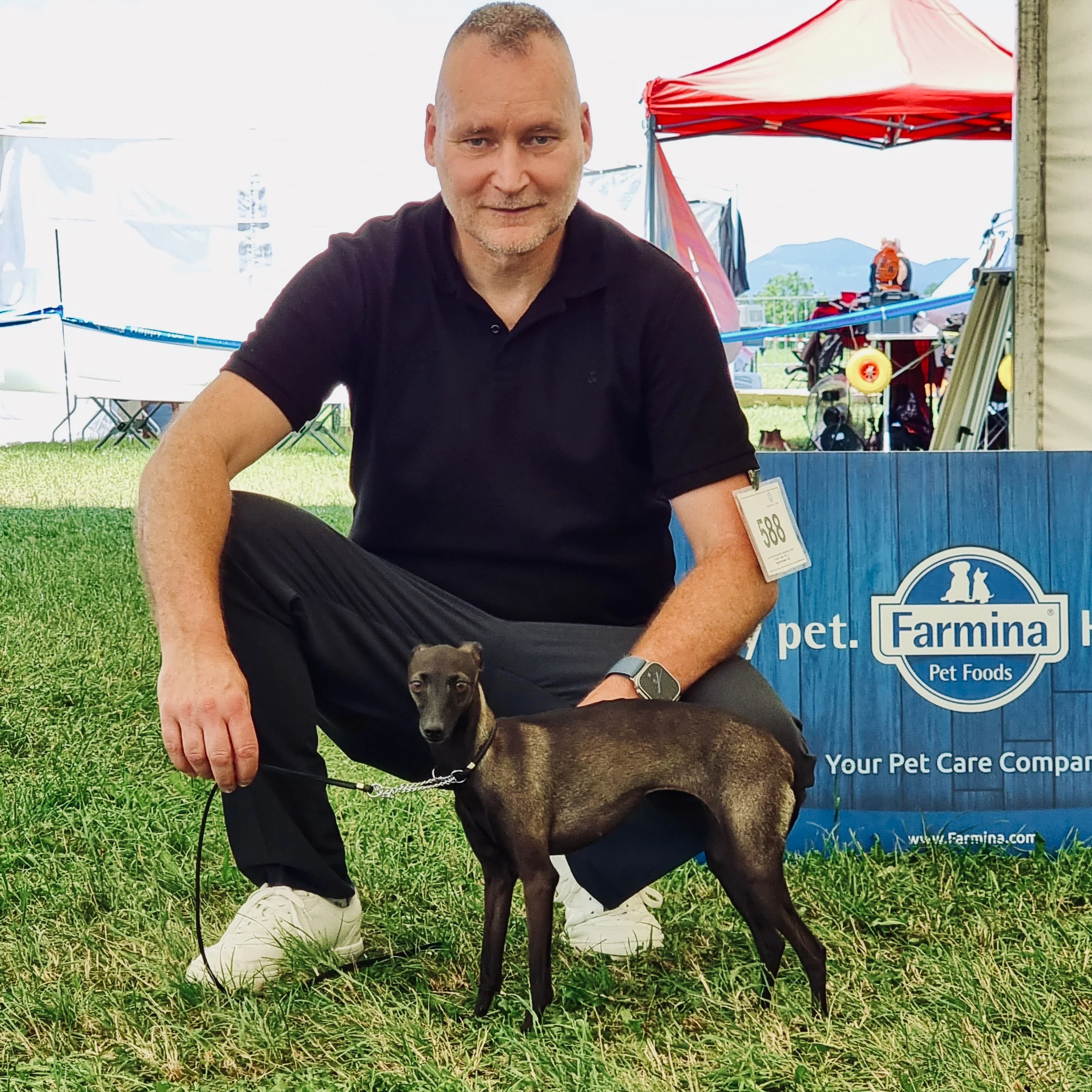 Mann kniet mit Windspiel bei einer Hundeausstellung, Startnummer 588