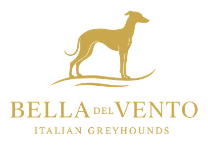 Bella del Vento